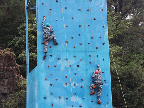 拓展訓(xùn)練營(yíng)3